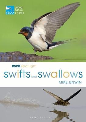 RSPB Spotlight Swifts and Swallows