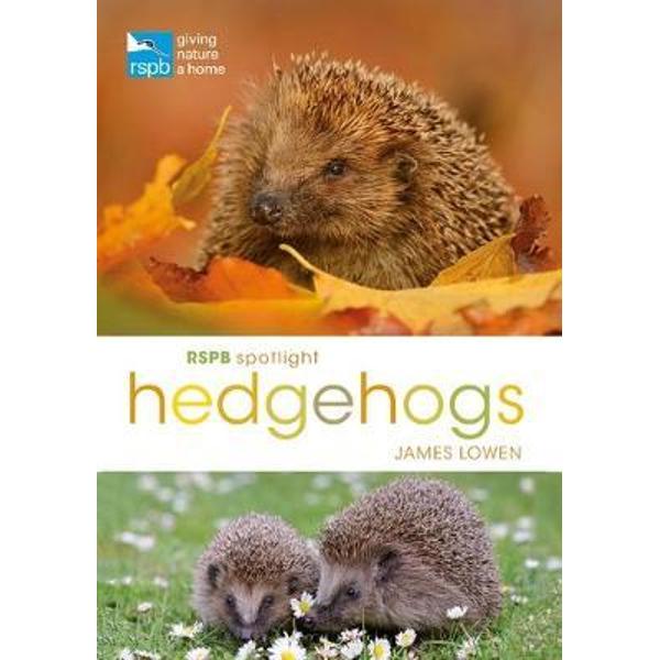 RSPB Spotlight Hedgehogs