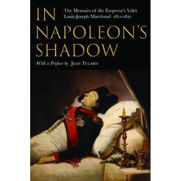 In Napoleon's Shadow