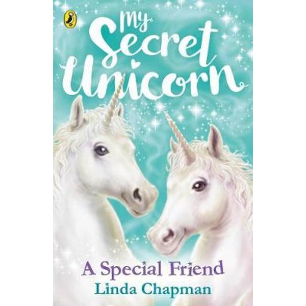 My Secret Unicorn: A Special Friend