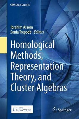 Homological Methods, Representation Theory, and Cluster Alge