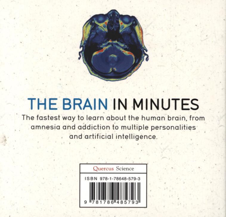 The Brain in Minutes