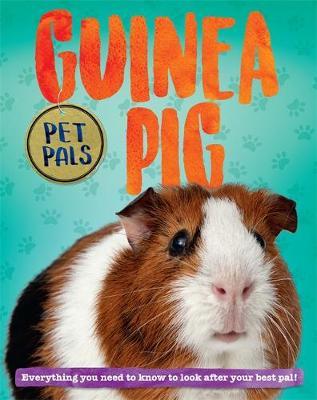 Pet Pals: Guinea Pig