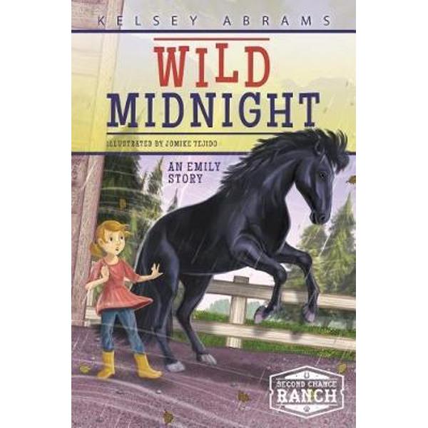 Wild Midnight: An Emily Story