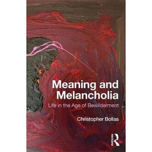 Meaning and Melancholia