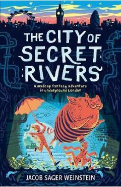 Coperta cărții 'City of Secret Rivers'