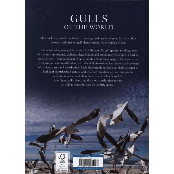 Gulls of the World