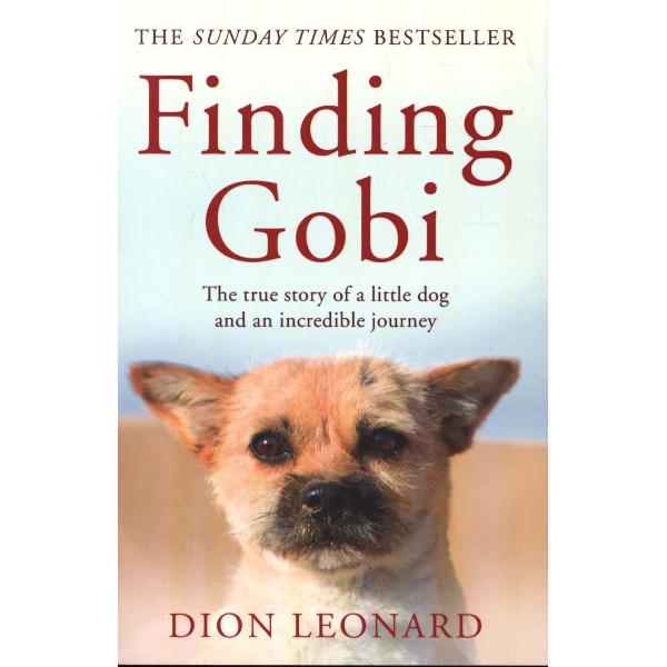 Finding Gobi (Main edition)