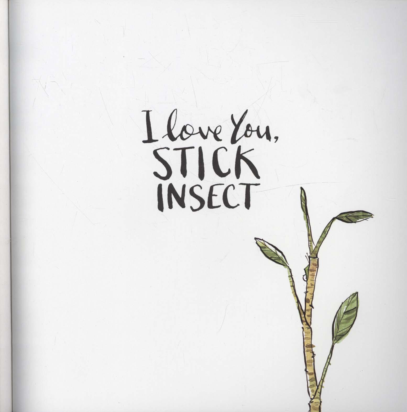 I Love You, Stick Insect