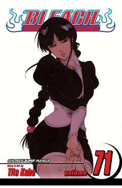 Bleach, Vol. 71