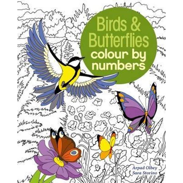 Colour by Numbers Birds & Butterflies