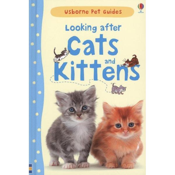 Looking After Cats and Kittens