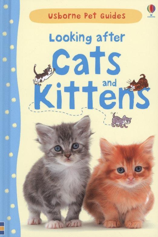 Looking After Cats and Kittens