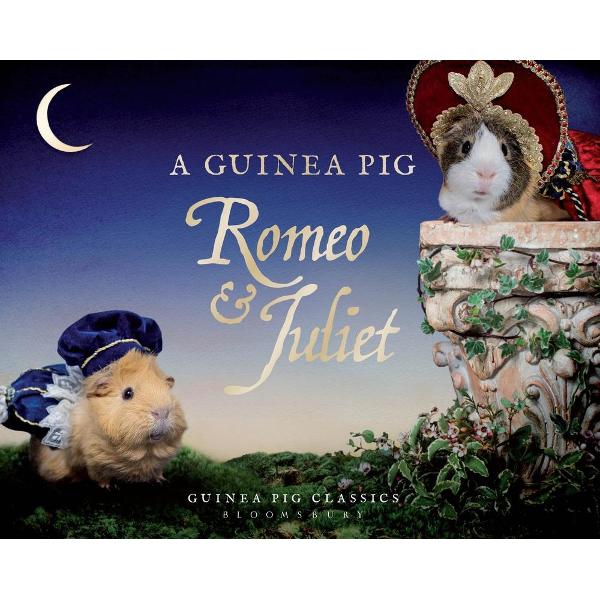 Guinea Pig Romeo & Juliet