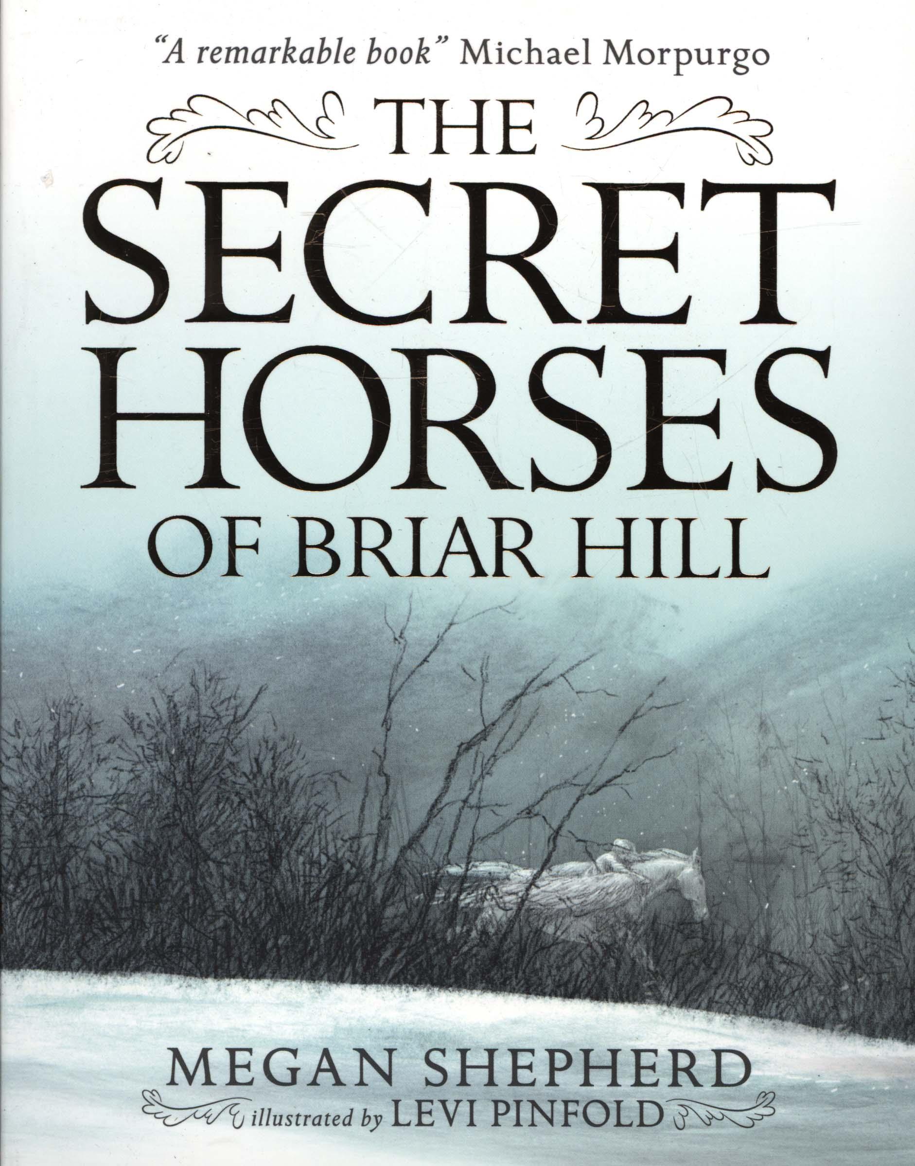 Secret Horses of Briar Hill