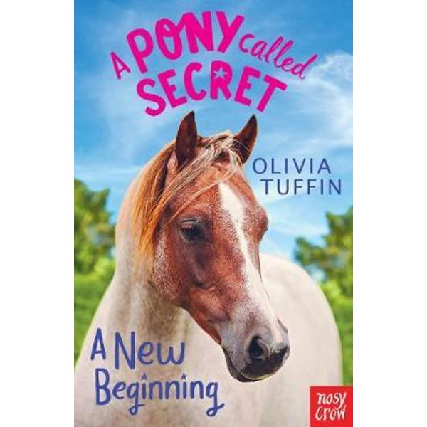 A Pony Called Secret: A New Beginning