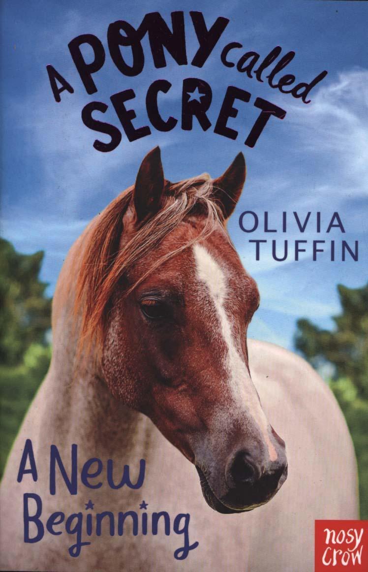 A Pony Called Secret: A New Beginning