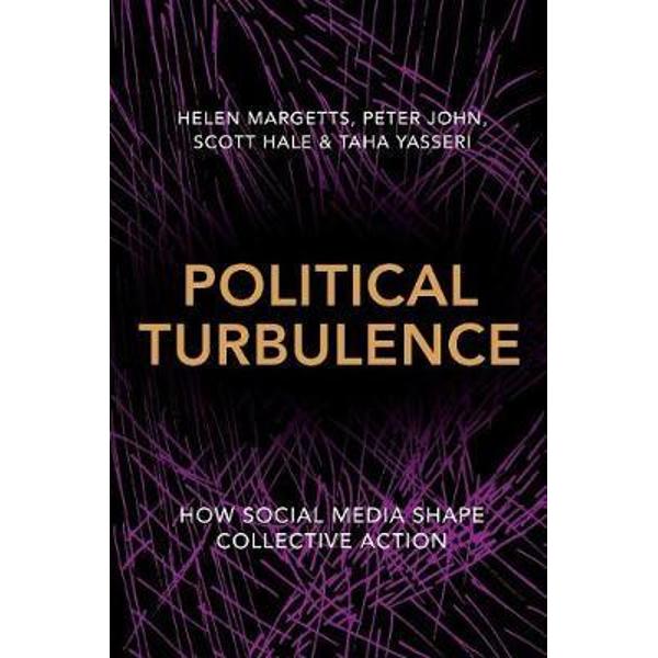 Political Turbulence