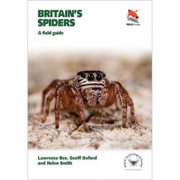 Britain's Spiders