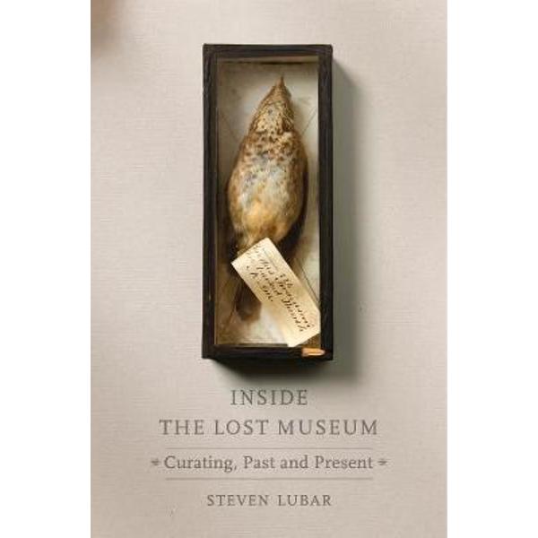 Inside the Lost Museum