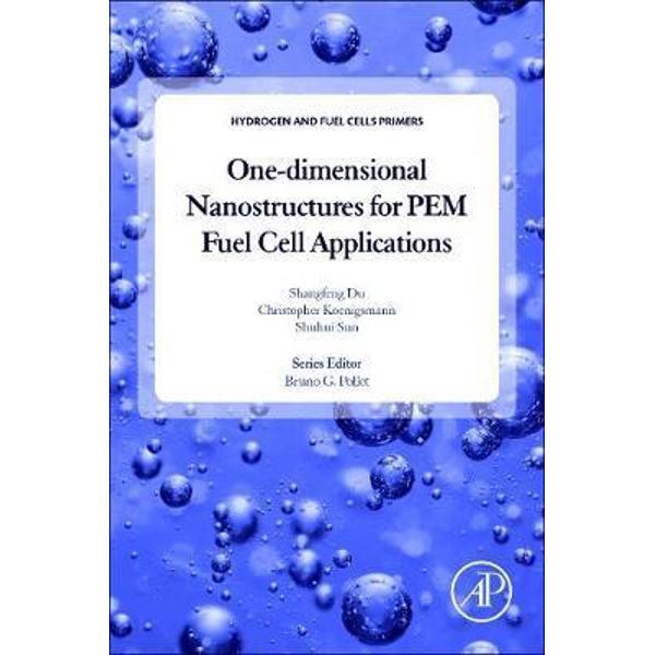 One-dimensional Nanostructures for PEM Fuel Cell Application