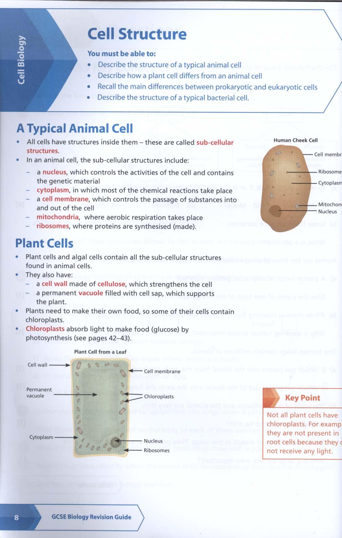 AQA GCSE Biology Revision Guide