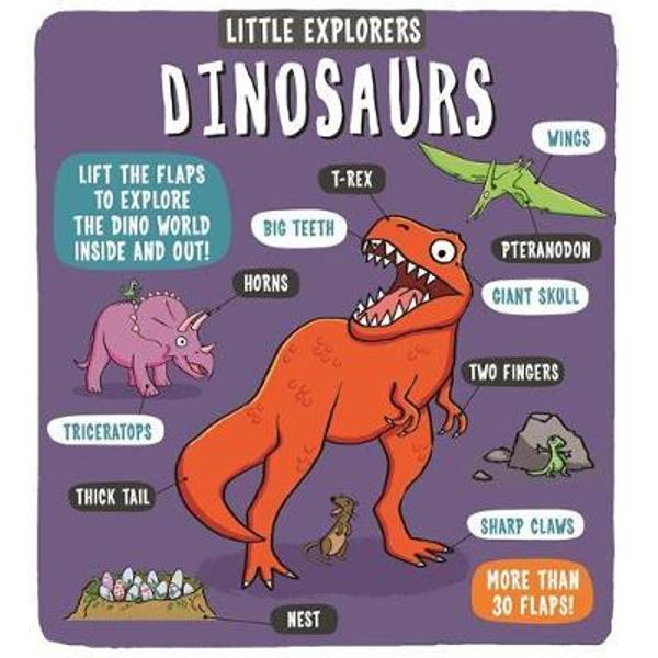 Little Explorers Dinosaurs