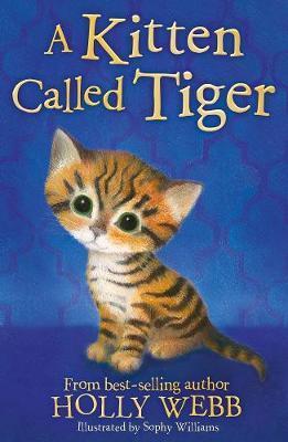 Kitten Called Tiger