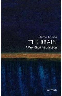 Poza produsului Brain: A Very Short Introduction