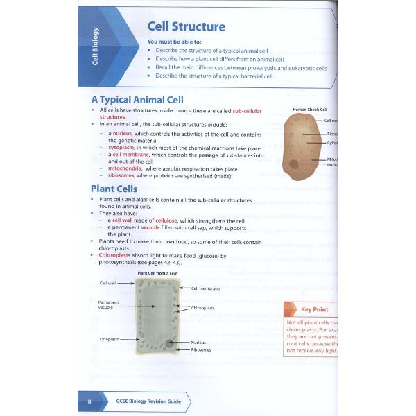 AQA GCSE Biology All-in-One Revision and Practice