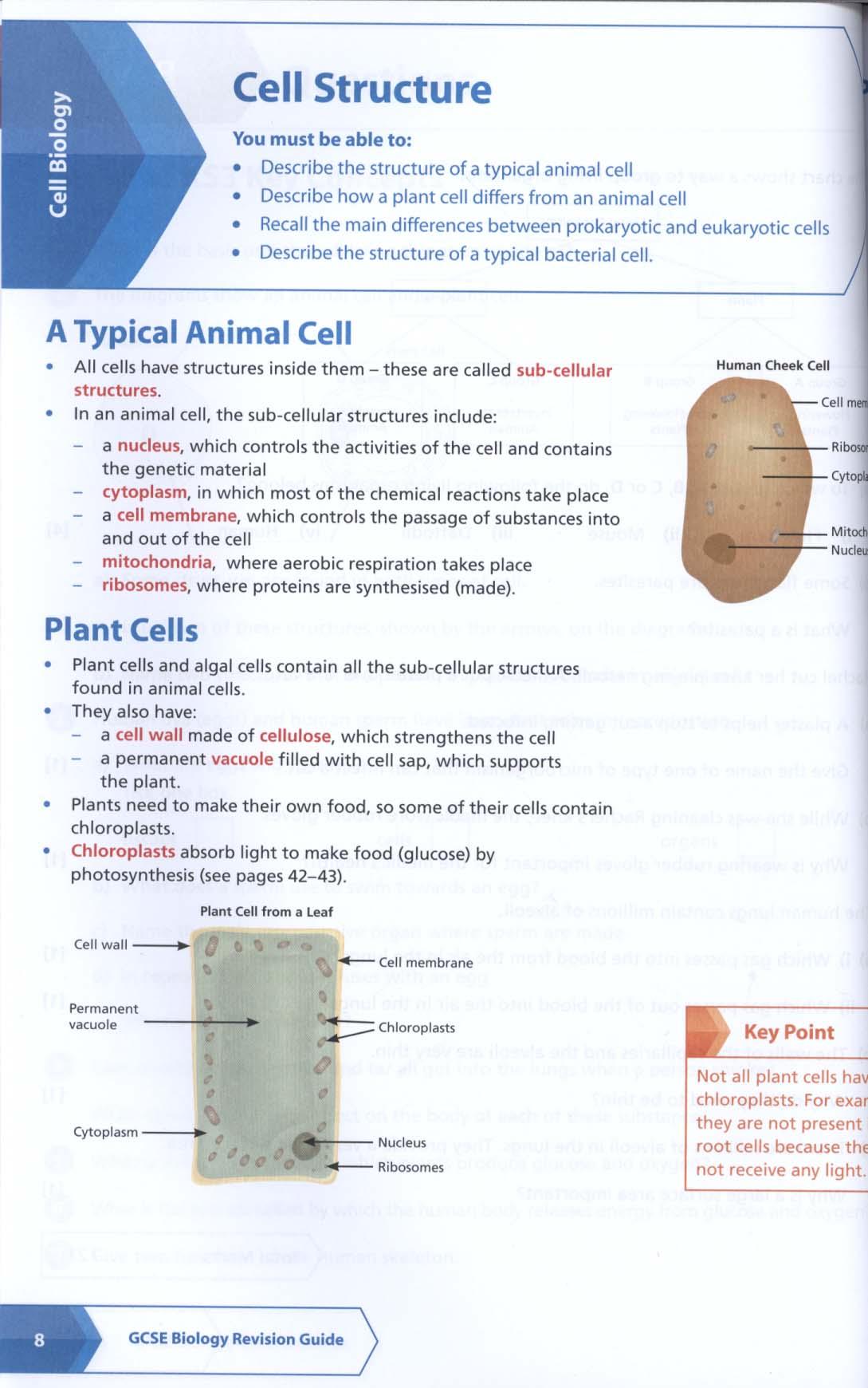 AQA GCSE Biology All-in-One Revision and Practice