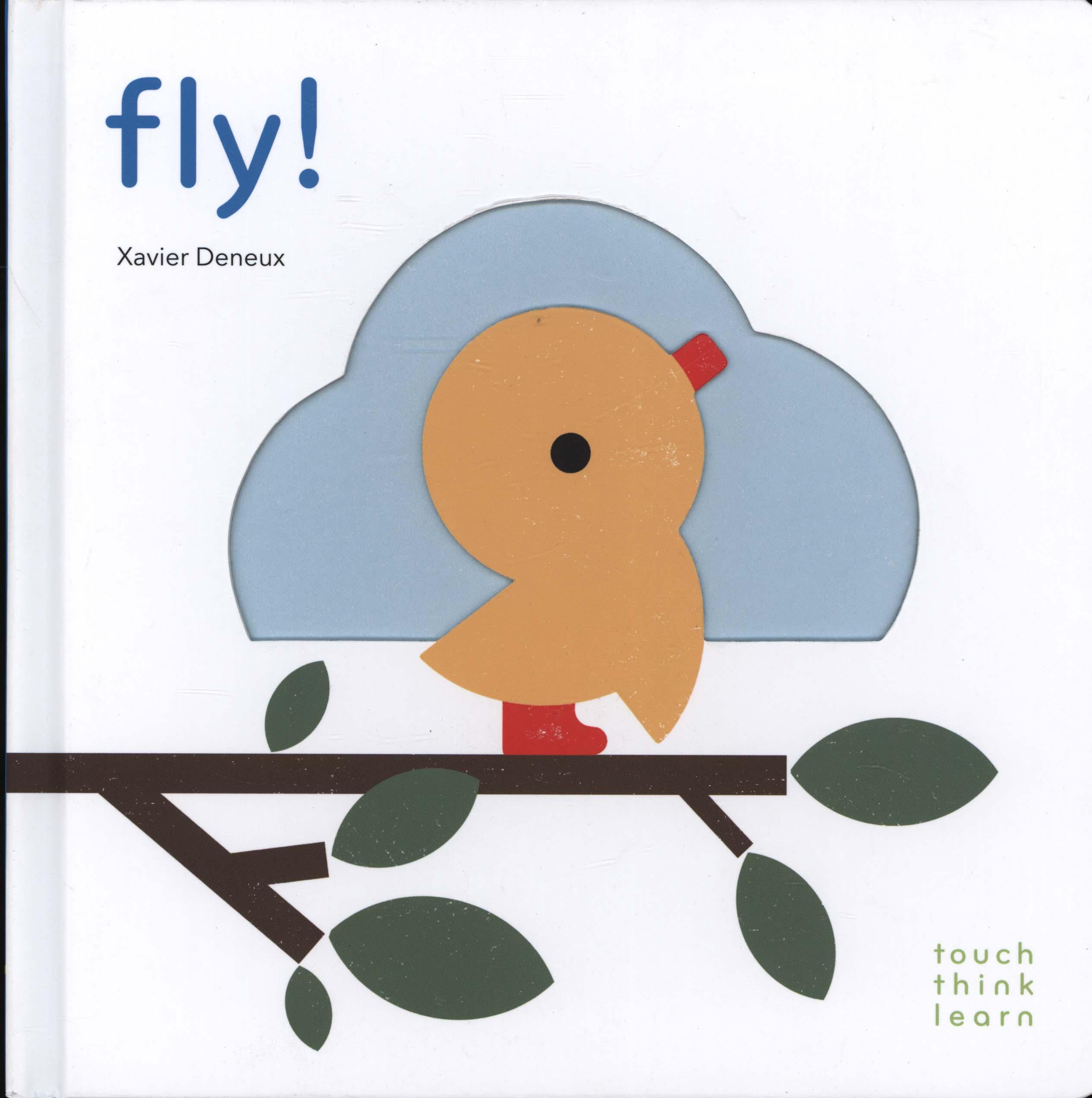 Coperta cărții 'Touchthinklearn: Fly!'