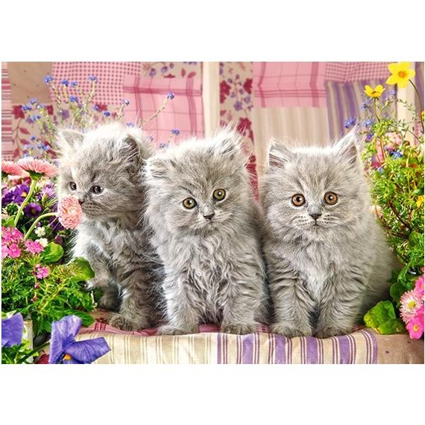 Puzzle 260. Three Grey Kittens