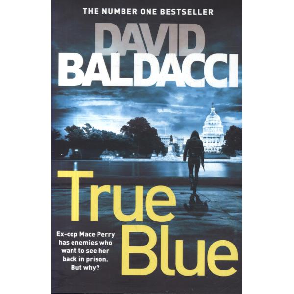 True Blue - David Baldacci