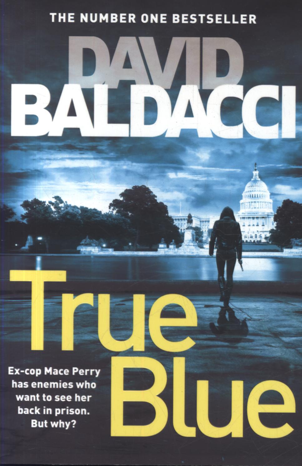 True Blue - David Baldacci