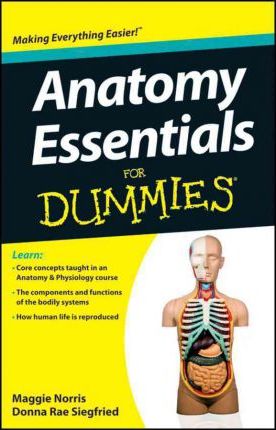 Anatomy Essentials For Dummies - Maggie A. Norris, Donna Rae Siegfried