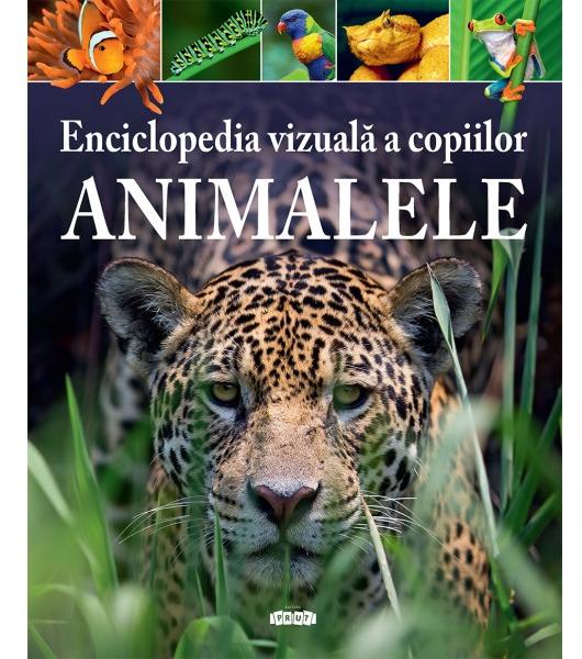 Enciclopedia vizuala a copiilor. Animalele - Michael Leach, Meriel Lland