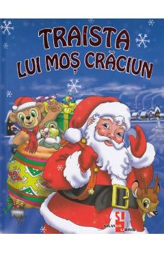 Poza produsului Traista lui Mos Craciun