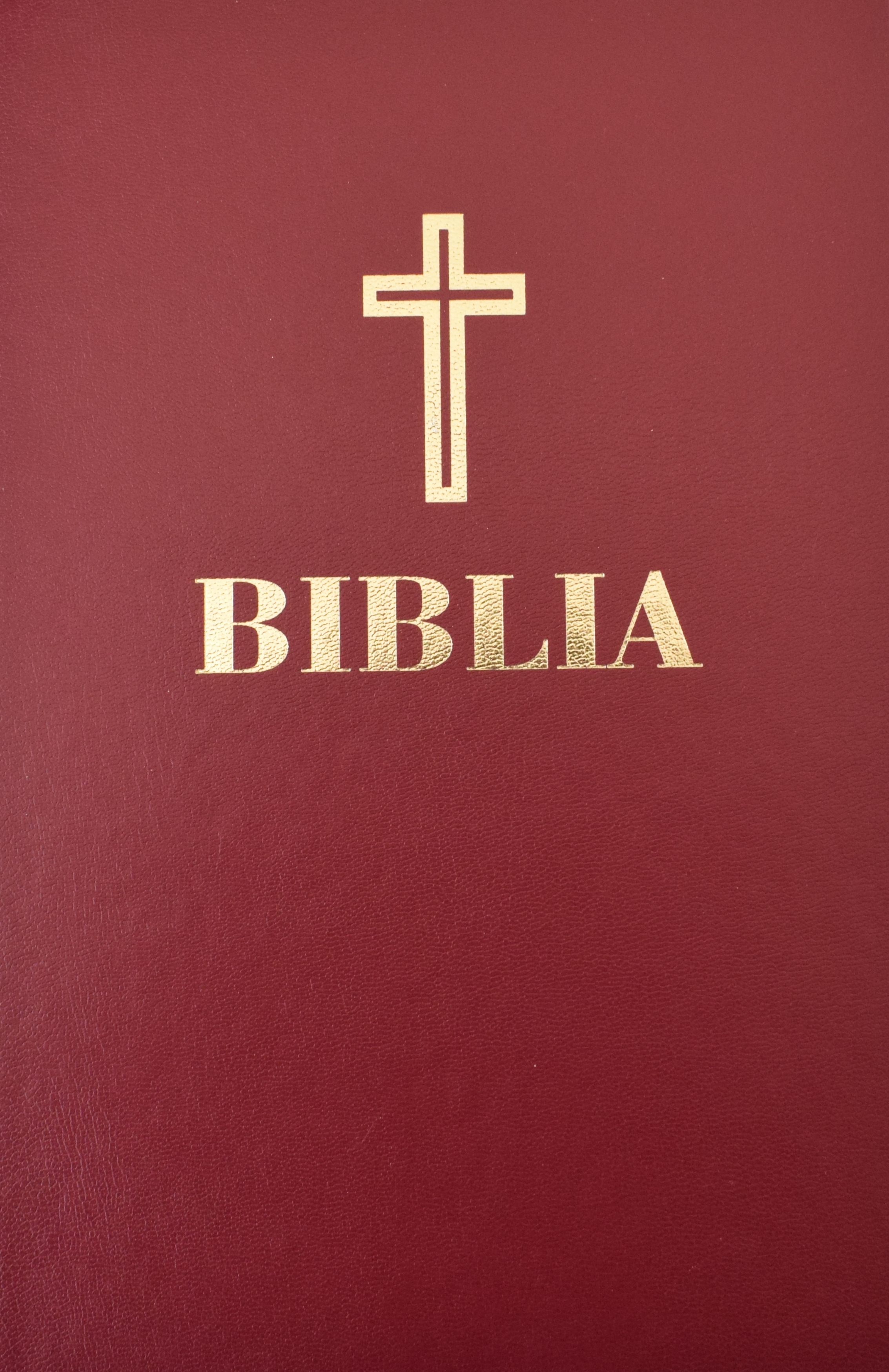 Biblia sau Sfanta Scriptura - Visiniu
