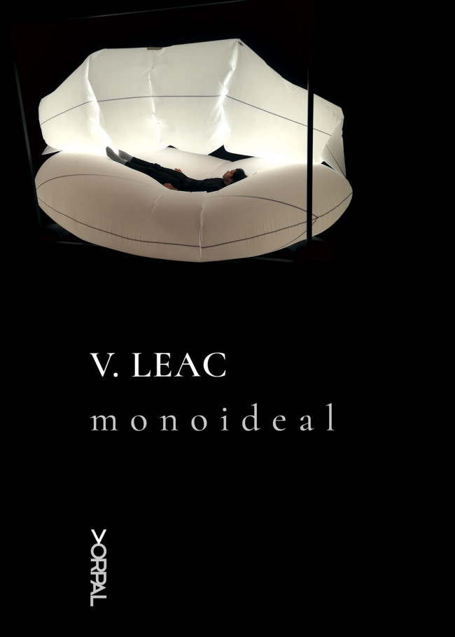 Monoideal - V. Leac