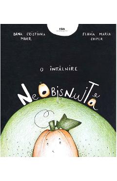 Poza produsului O intalnire neobisnuita - Dana Cristiana Maier, Flavia Maria Chiper