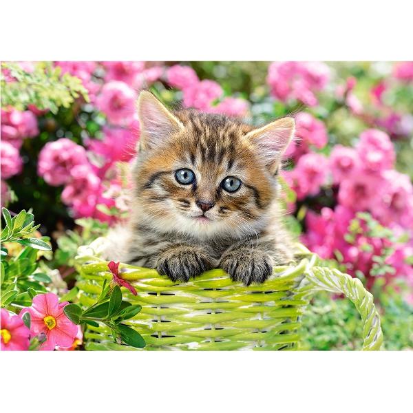 Puzzle 500. Kitten in Flower Garden
