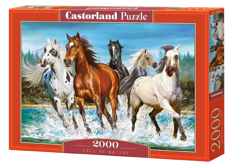 Puzzle 2000. Call of Nature