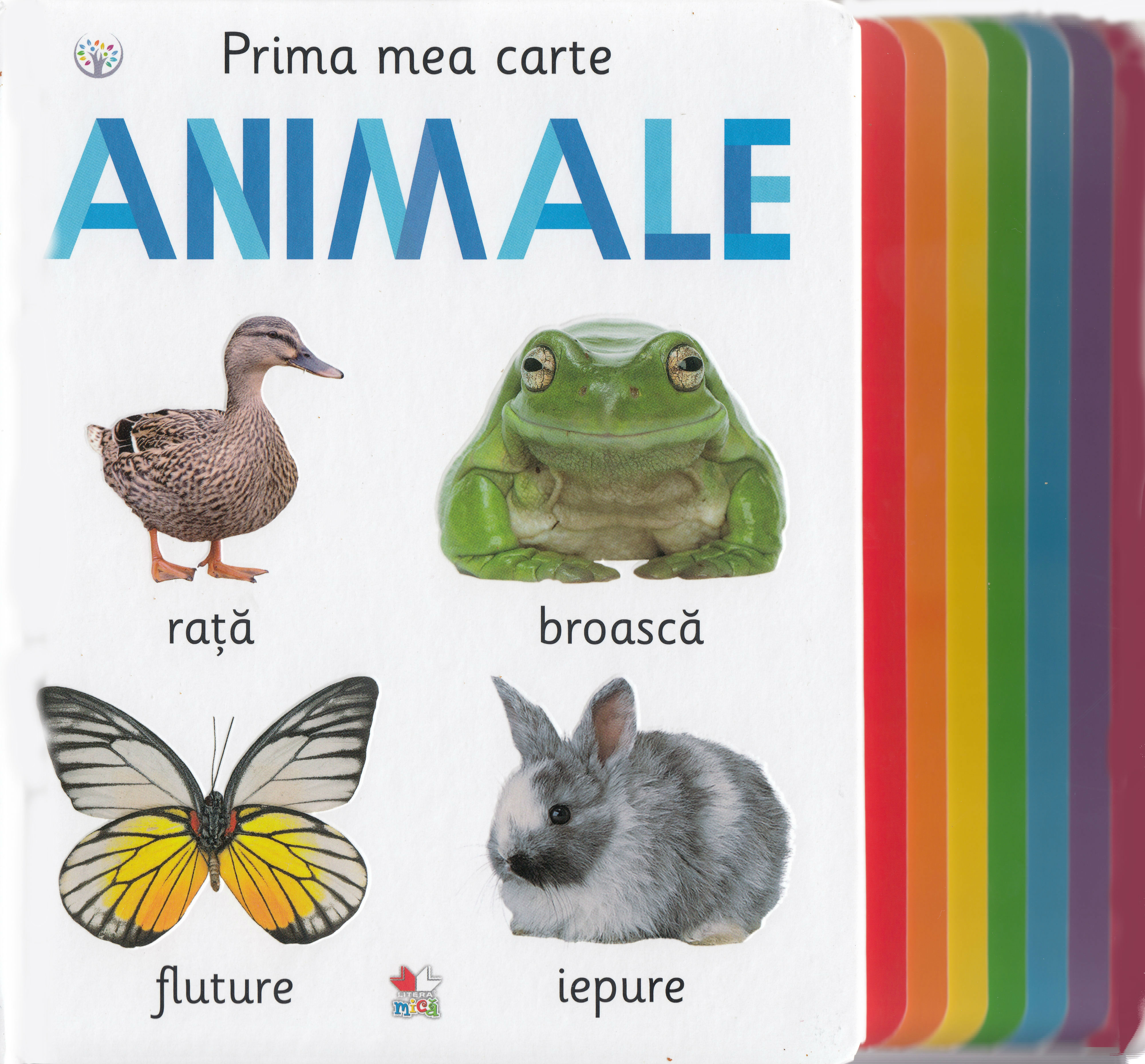 Prima mea carte. Animale - Aimee Chapman