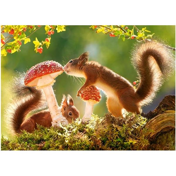 Puzzle 260. Squirrel's Forest Life