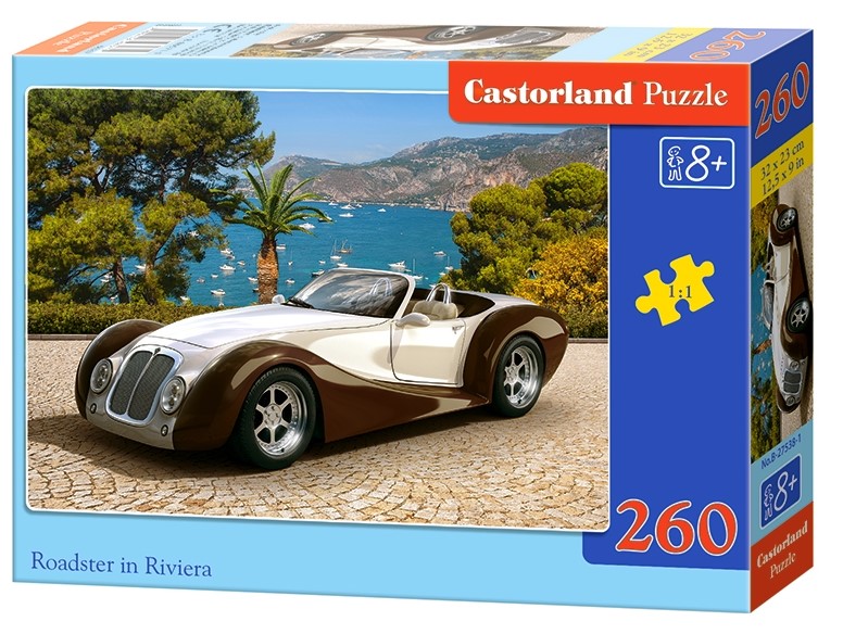 Puzzle 260. Roadster in Riviera