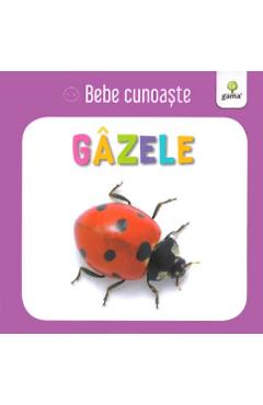 Coperta cărții 'Gazele - Bebe cunoaște'
