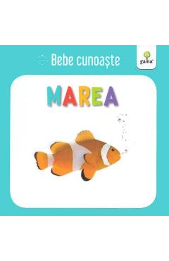 Poza produsului Marea - Bebe cunoaste