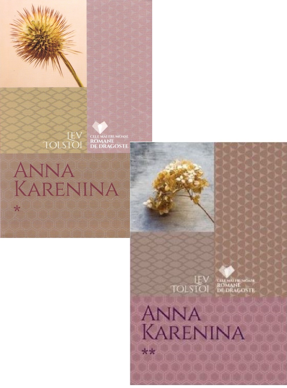 Anna Karenina Vol.1+2 - Lev Tolstoi