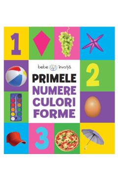 Coperta cărții 'Primele numere, culori, forme'